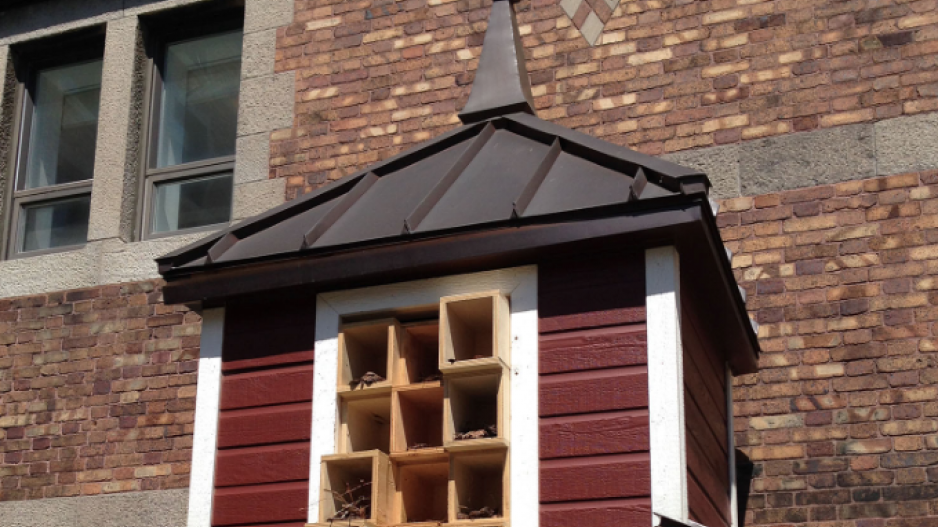 bee_hotel_chateau_frontenac_credit_burts_bees