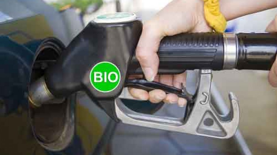 biofuel_1