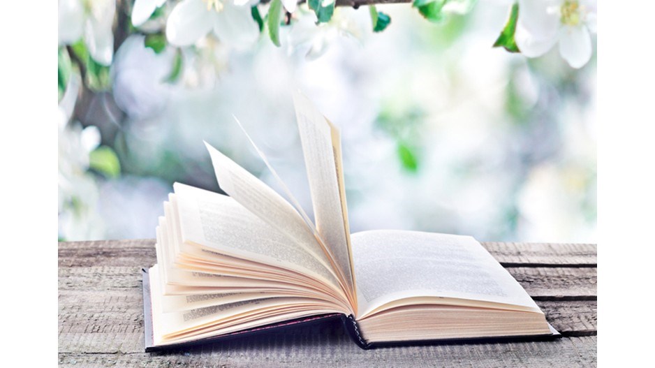 book-bench2-stanislavsalamanov-istock-gettyimagesplus