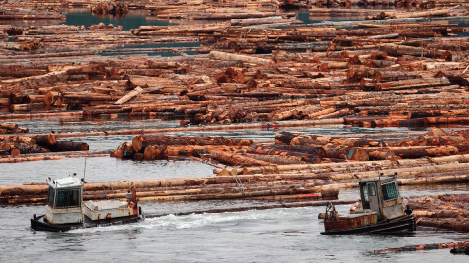 boom_boats_beaver_cove_vancouver_island_credit_maxx_lindenthaler_shutterstock