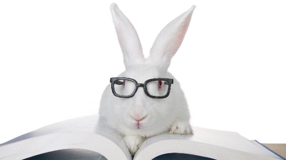 bunnyreadingglasses