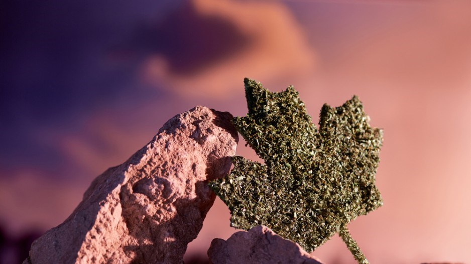 cannabiscanadarockshutterstock