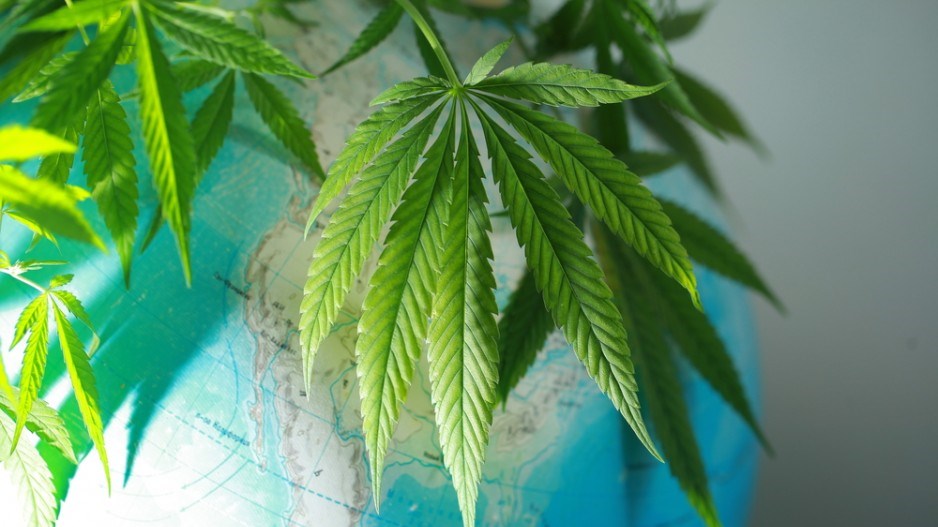 cannabisglobeshutterstock