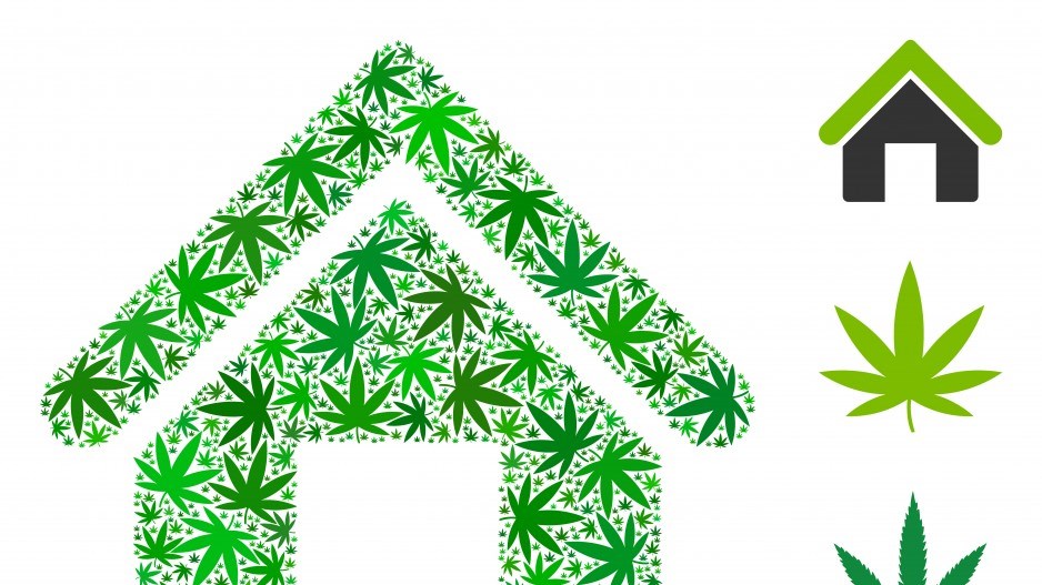 cannabishouseshutterstock_0