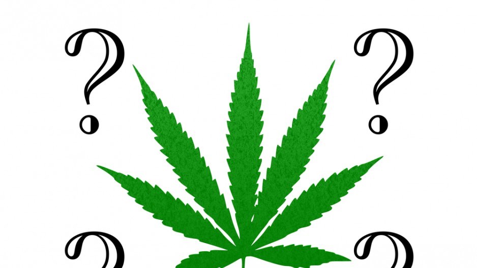 cannabisquestionshutterstock