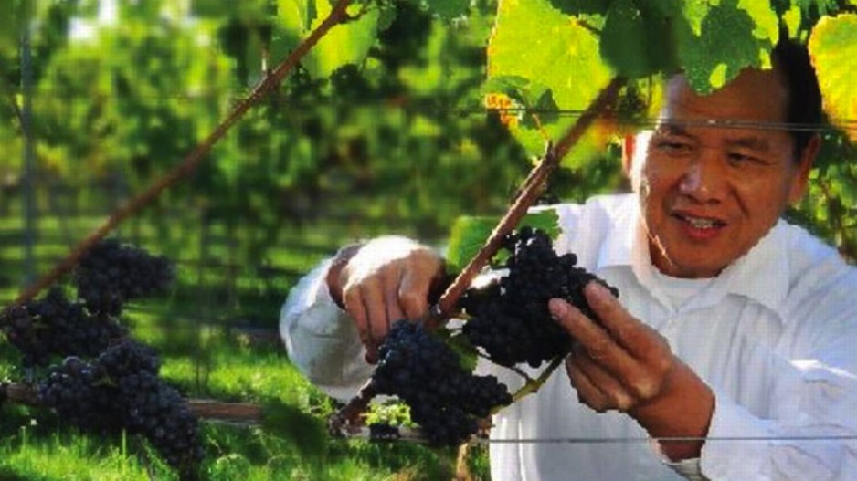 changwinery