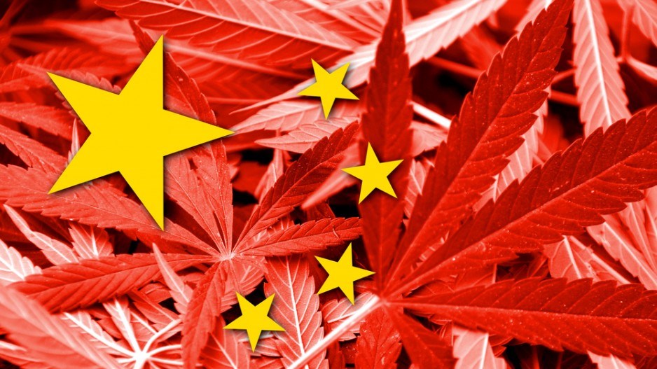 chinacannabis-lukasz-stefanski-shutterstock