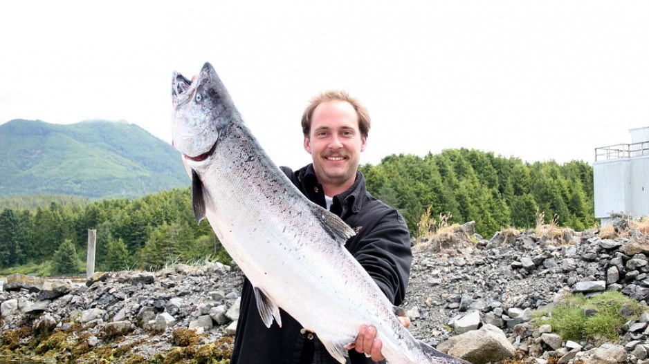 chinook-salmon-shutterstock