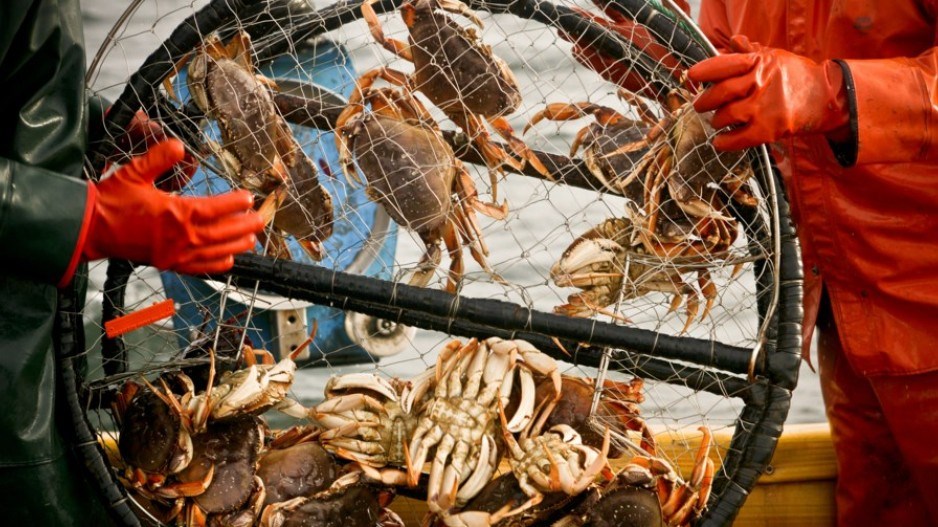 crabs-net