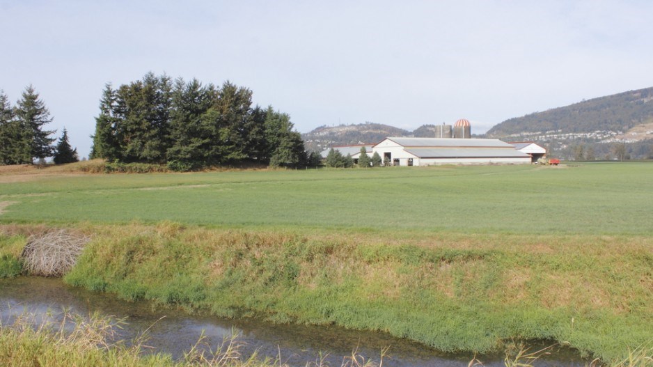 dairy_farm_fraser_valley