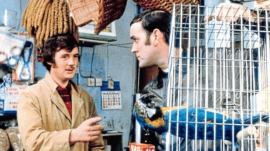 dead-parrot-monty-python-creditallstar-bbc