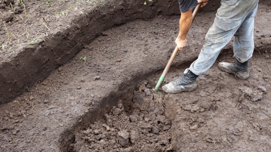 digging-brizmaker-istock-gettyimagesplus