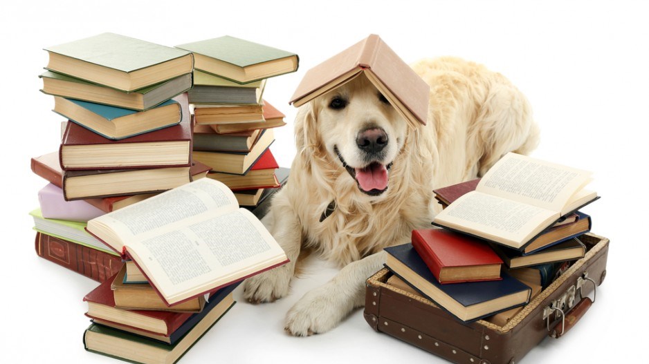 dog-reading-books-shutterstock