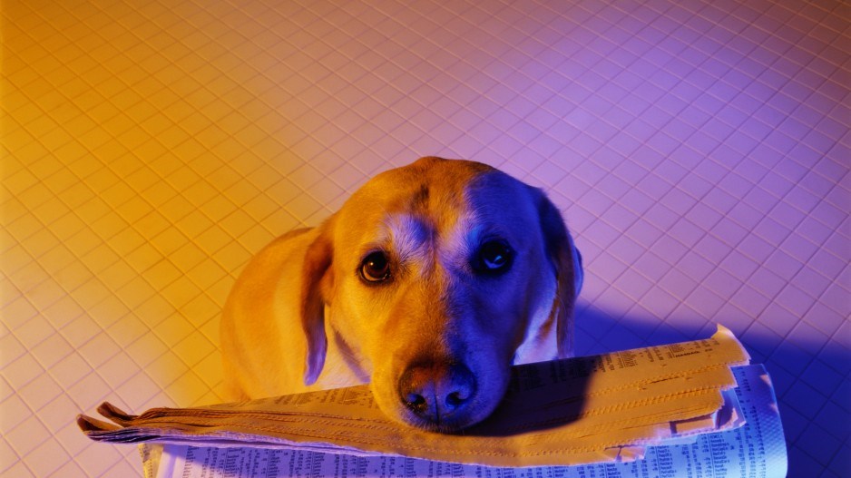 dog-reading-gkhart-vikkihart-stone-gettyimages