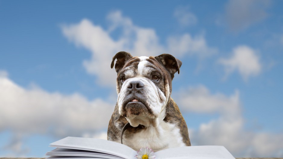 dog-reading-shutterstock