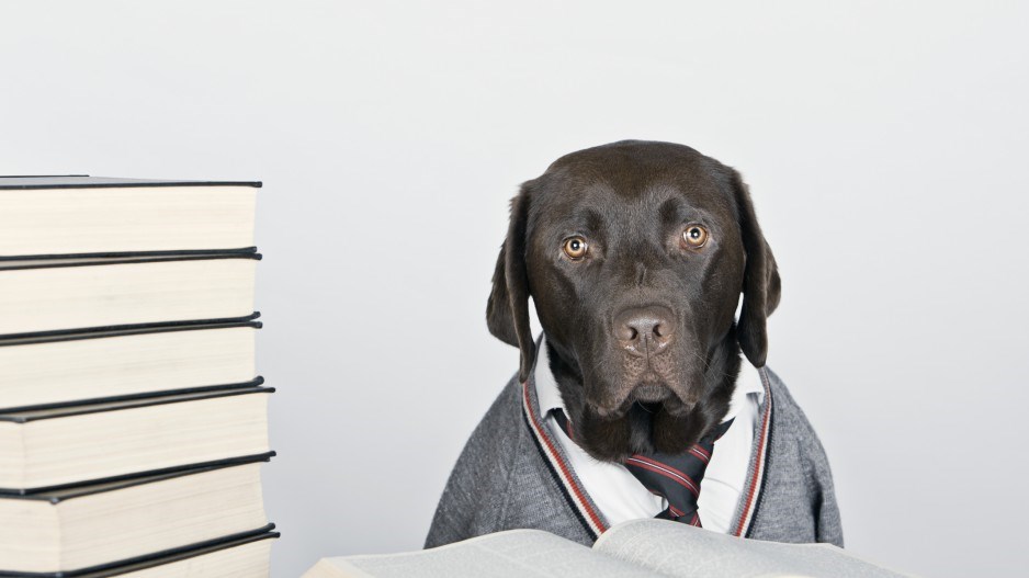 dog-tie-reading-justinpaget