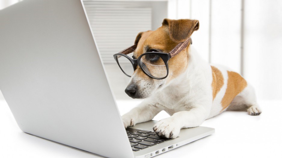 dogreadinglaptopshutterstock