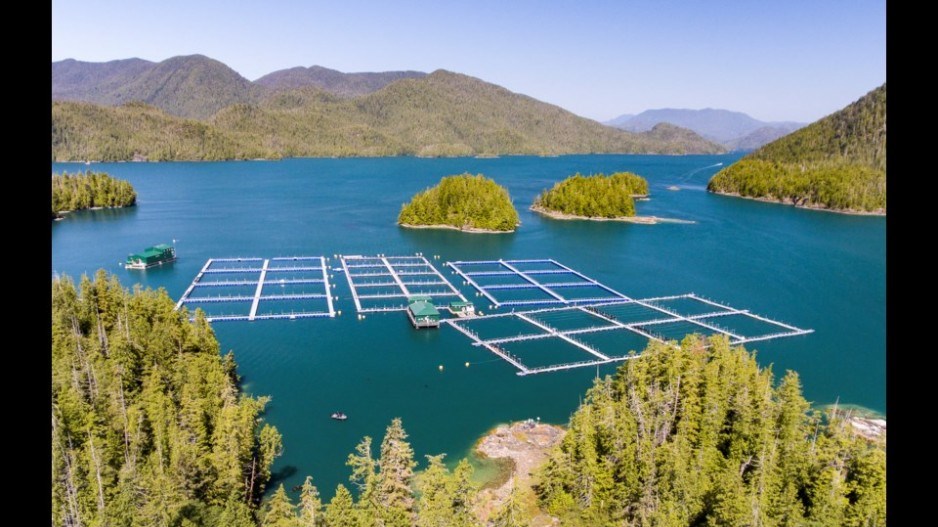 dronefootage-cermaq-fish-farm-creditclayoquotaction