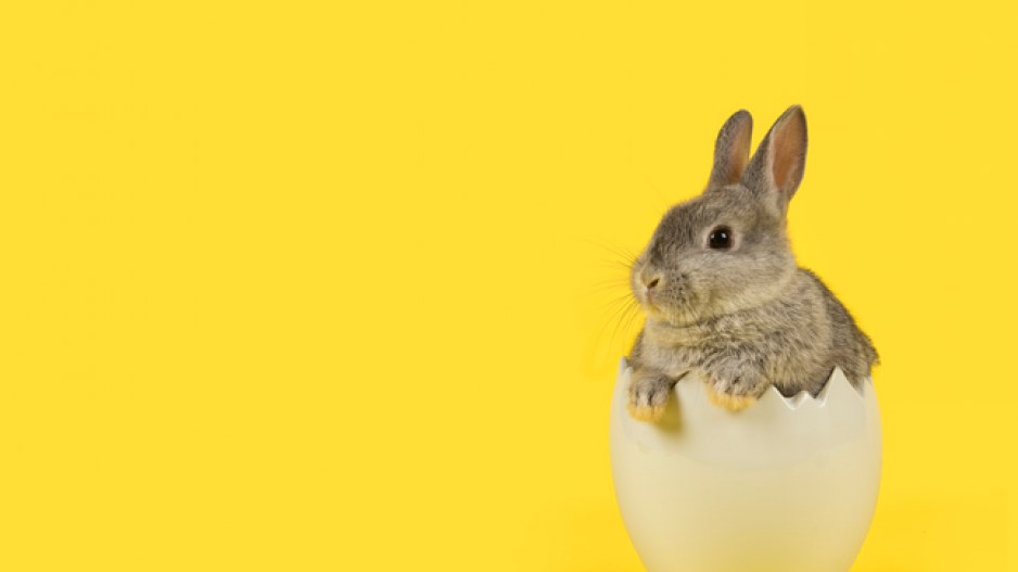 easter-bunny-istock