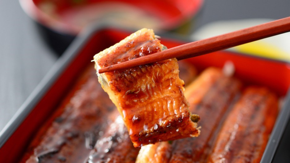 eel-kps-istock-gettyimagesplus