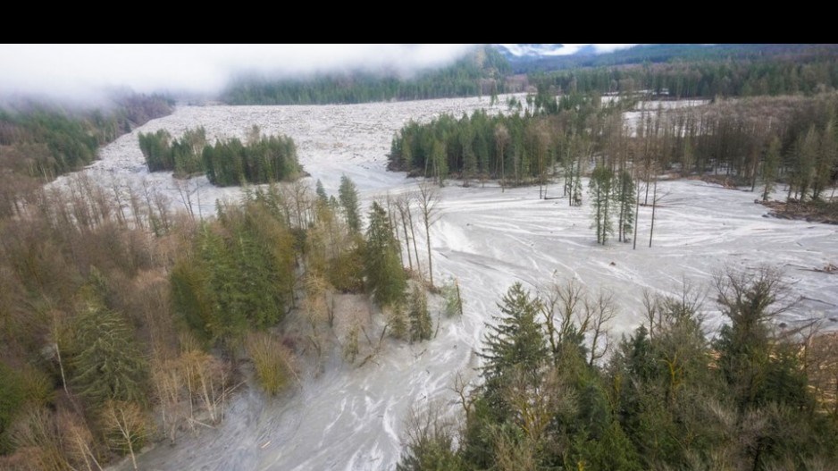 elliot-creek-tsunami-flooding-credithakaiinstitute