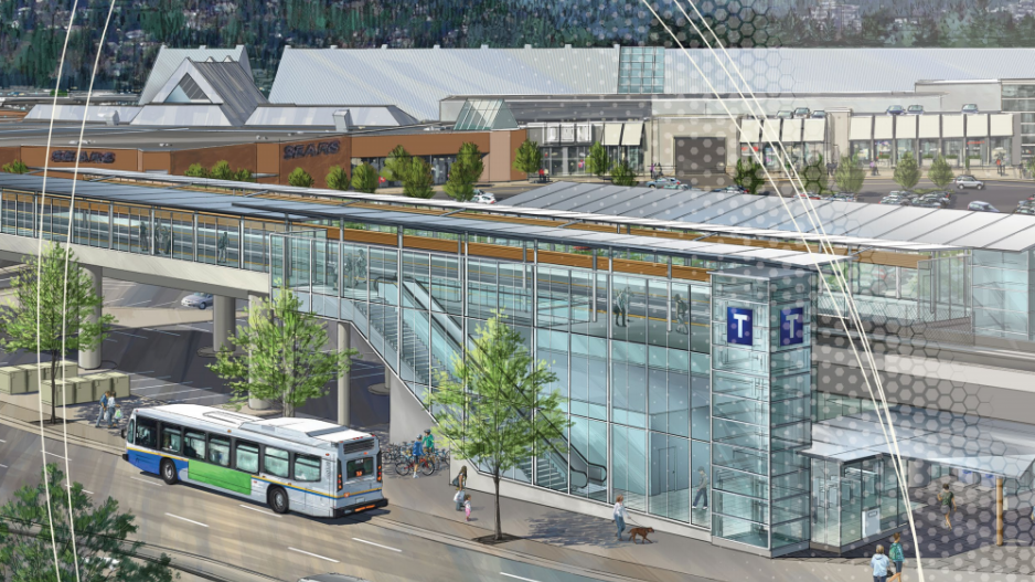 evergreen_line_0