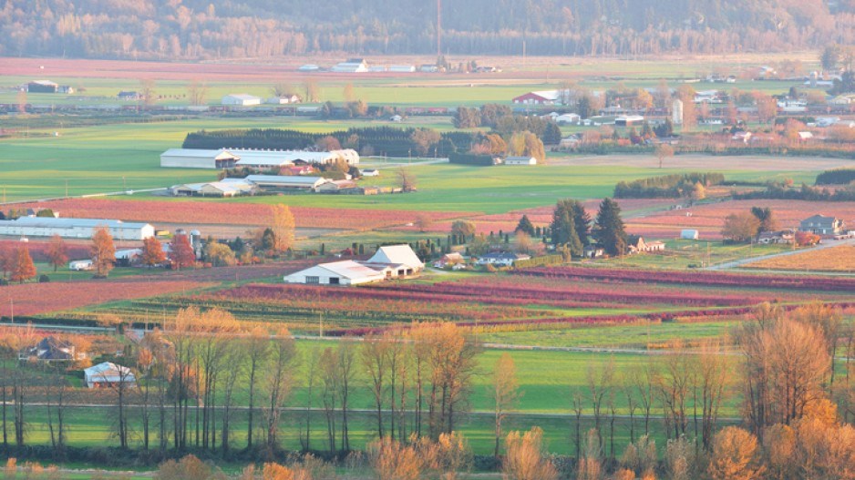 farm-fraser-valley-kongxinzhu-getty