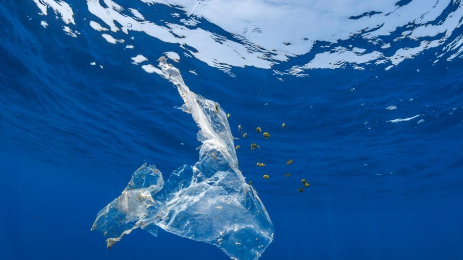 floating-plastic-garbage-wildestanimalgettyimages