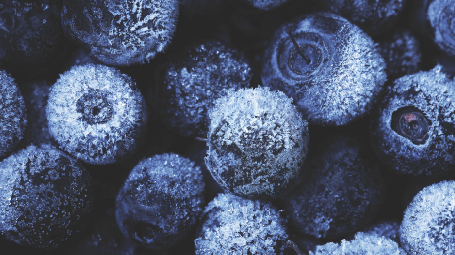 frozenblueberriesshutterstock