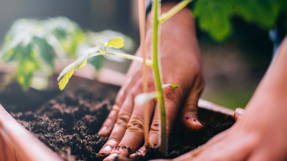 gardening-creditguidomiethgettyimages