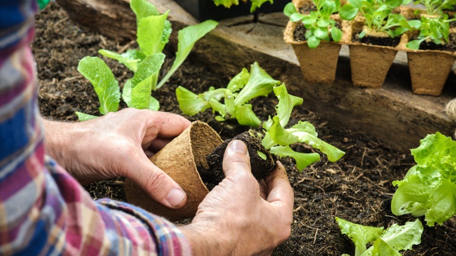 gardening-shutterstock