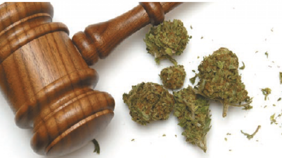 gavel_marijuana