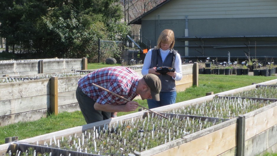 genomics_forestry