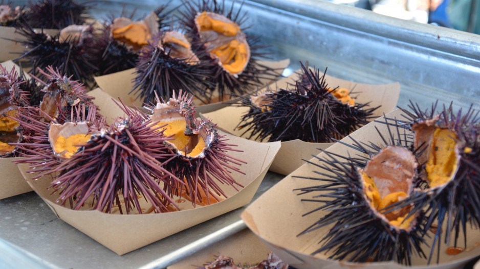 gettyimages-1200822389-seaurchins