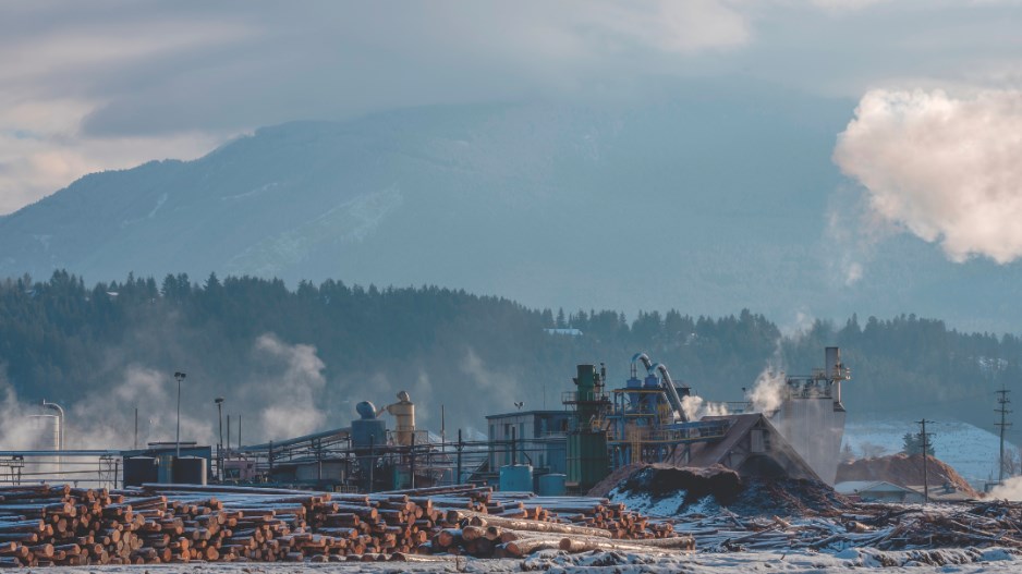 golden-sawmill-creditjamesgabbertshutterstock