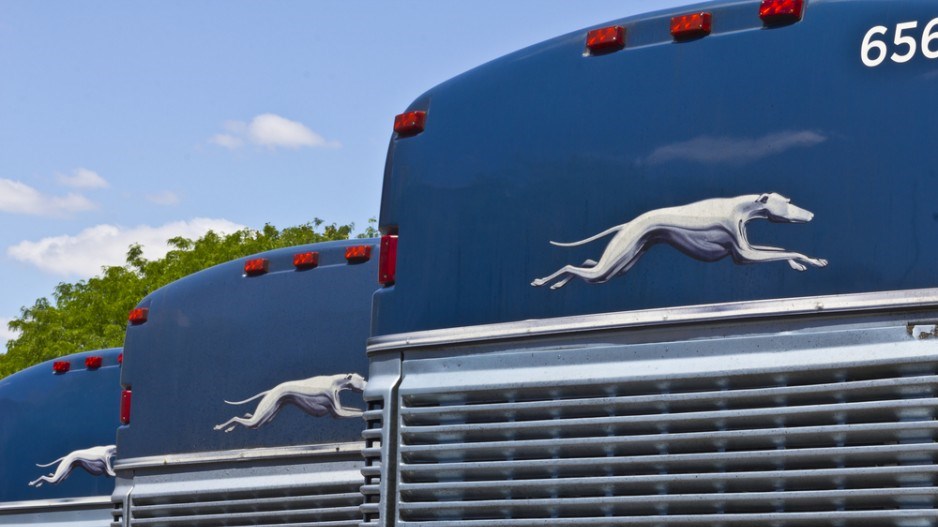 greyhoundbusesshutterstock