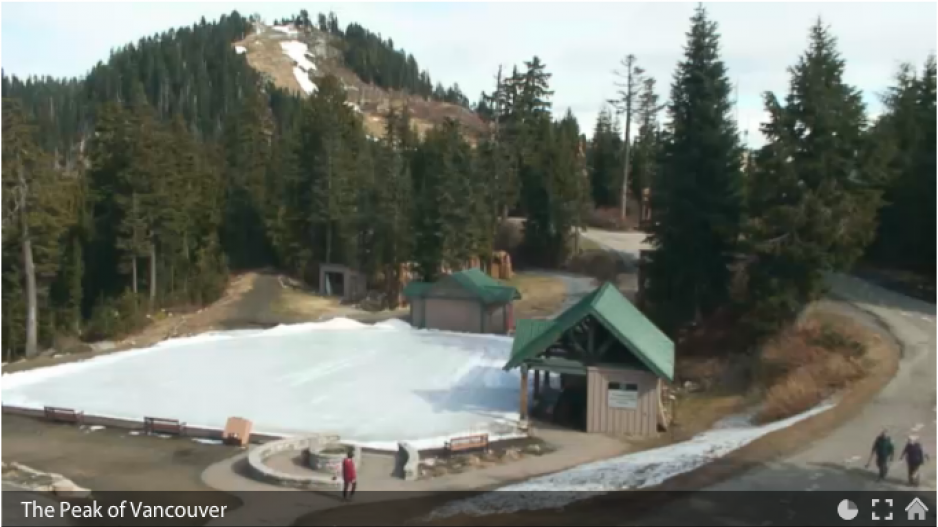 grouse_mountain_webcam