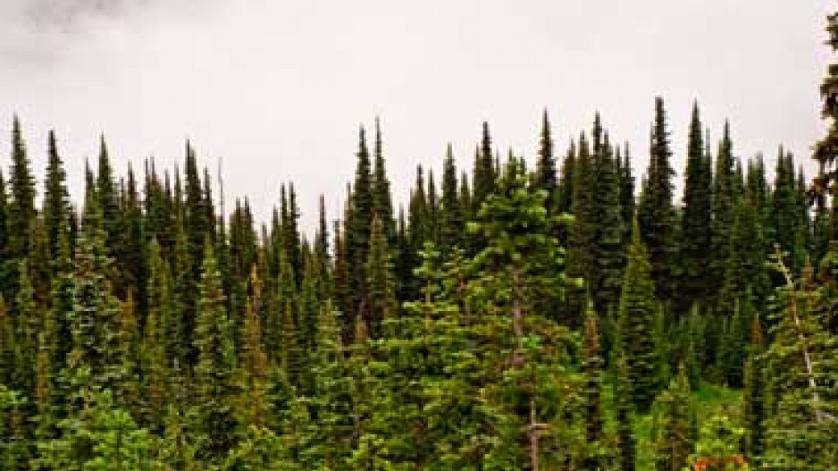 gv_20120217_biv0105_120219962
