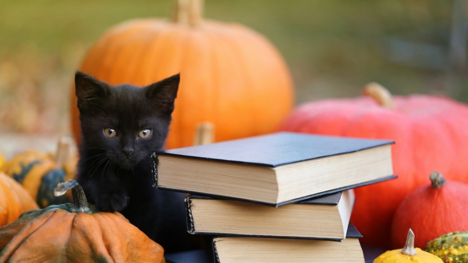 halloween-cat-reading-shutterstock