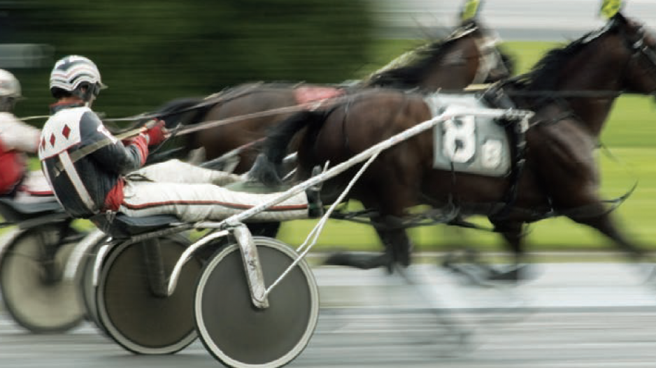 harness_racing_shutterstock