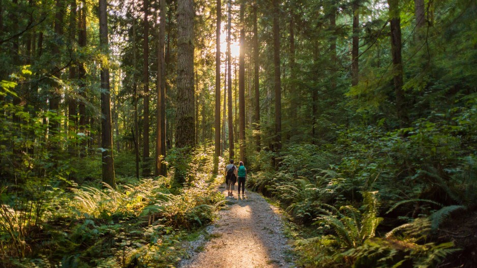 hiking-bc-creditpamelajoemcfarlanegettyimages
