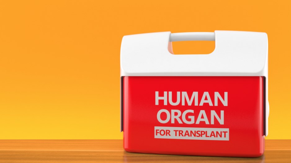 human-organ-shutterstock