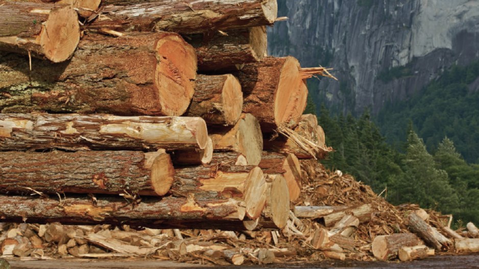 logs-shutterstock
