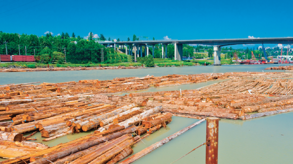 logs_fraser_river_credit_romakomashutterstock