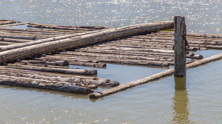 logs_fraser_river_shutterstock