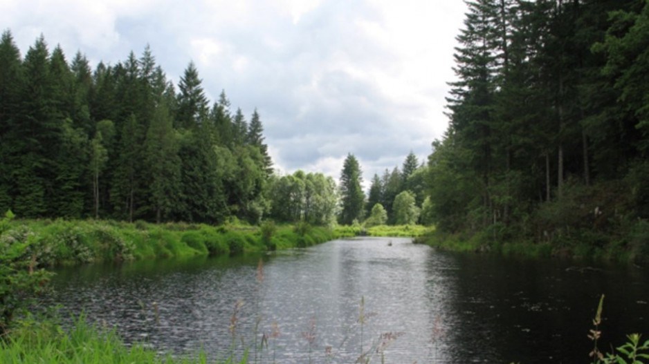 minnekhada-regional-park-creditmetrovancouver