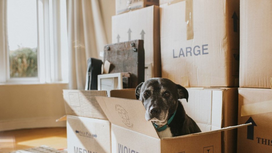 moving-boxes-creditcatharinefallscommercial-moment-gettyimages