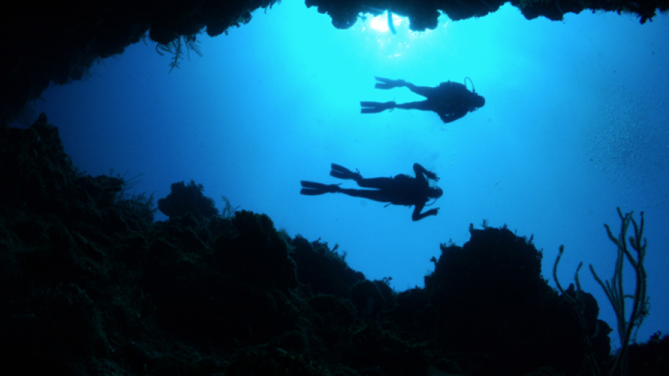 nautilus_deep_sea