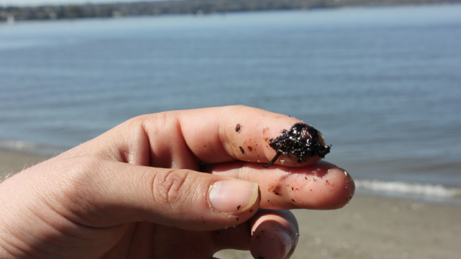 oil_spill_finger_small_