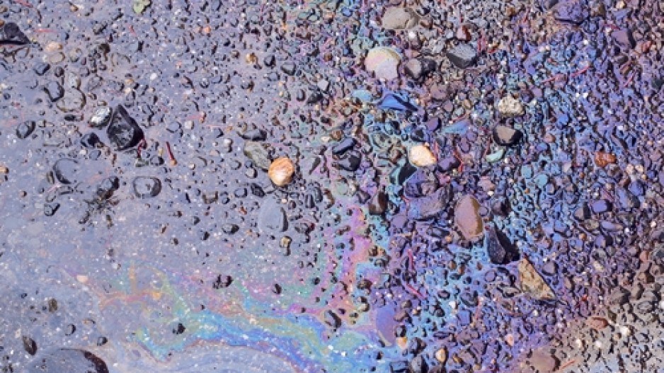 oily-m-cornelius-shutterstock